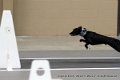 IMG_0531