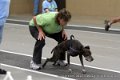 IMG_0554