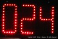 IMG_0559