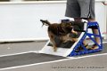 IMG_0609