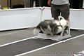 IMG_0616