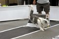 IMG_0617