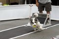 IMG_0618