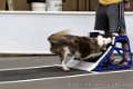 IMG_0632