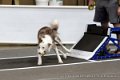 IMG_0634