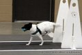 IMG_0641