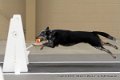 IMG_0646
