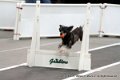 IMG_0661