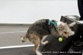 IMG_0673