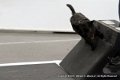 IMG_0677