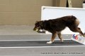 IMG_0694