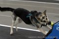 IMG_0707