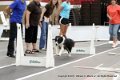 IMG_0753