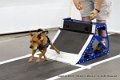 IMG_0795