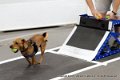 IMG_0796