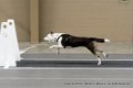 IMG_0800