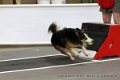 IMG_0816