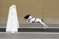 IMG_0841