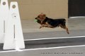 IMG_0847