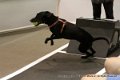 IMG_5191