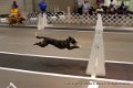 IMG_5194
