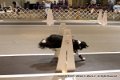 IMG_5251