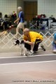 IMG_5261