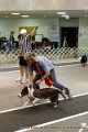 IMG_5267