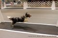 IMG_5373