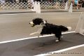 IMG_5399