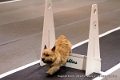 IMG_5420
