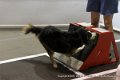 IMG_5520