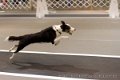 IMG_5530