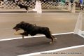 IMG_5558
