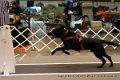 IMG_5562