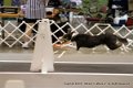 IMG_5573