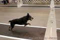 IMG_5722