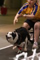 IMG_5764