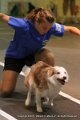 IMG_5775