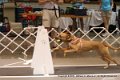 IMG_5826