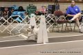 IMG_5837