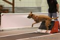 IMG_5840