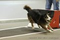 IMG_5849