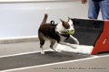 IMG_5855