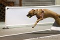 IMG_5859