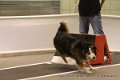 IMG_5861