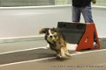 IMG_5862