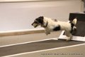 IMG_5915