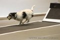IMG_5916
