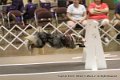IMG_5958